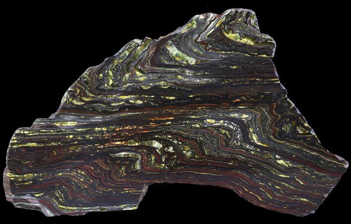 Polished Tiger Iron Stromatolite - ( Billion Years) #65246